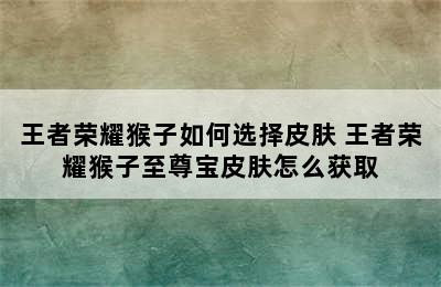 王者荣耀猴子如何选择皮肤 王者荣耀猴子至尊宝皮肤怎么获取